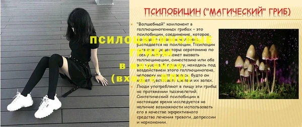 дживик Алексин