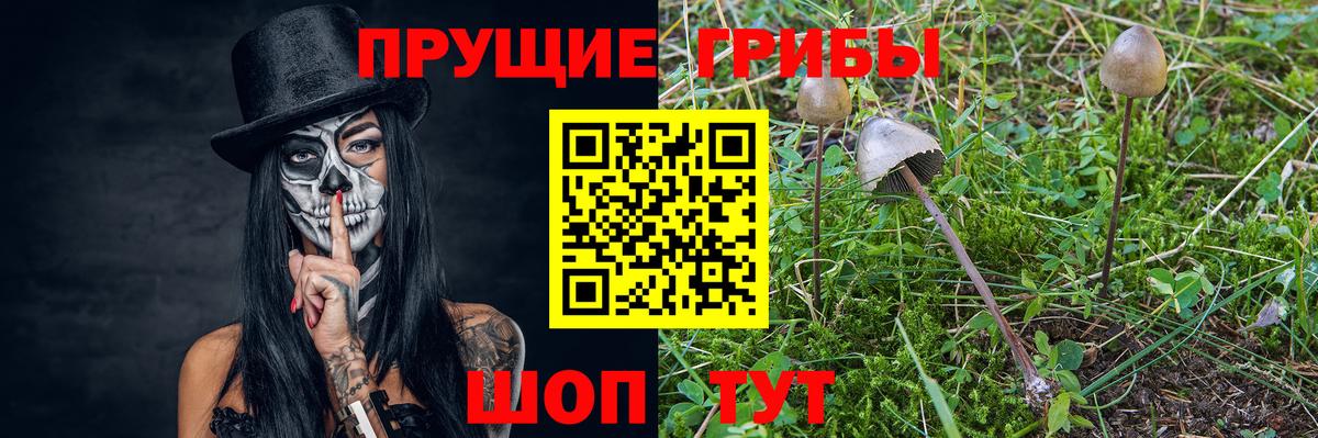 Галлюциногенные грибы Magic Shrooms Балаково